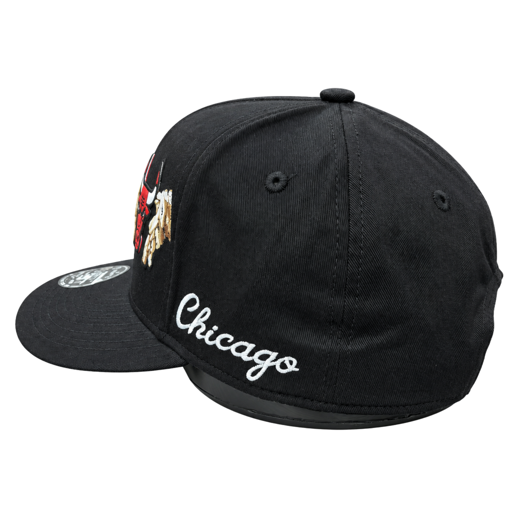 NBA Chicago Bulls – Black, Red, White & Gold